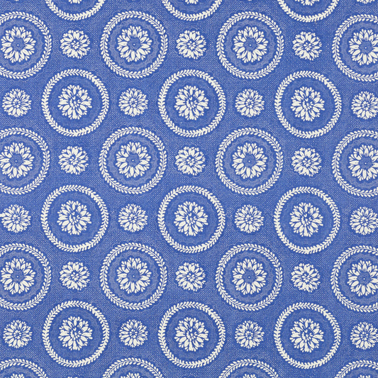 SCHUMACHER  RAOUL TEXTILES LIMOGES PRINTS PRINTS CIEL   - 205B18