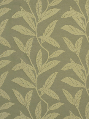 Beige leafy vine wallpaper on a muted sage-green background; botanical branch design for walls.