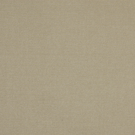 Robert Allen Mordini | Sand Dollar  Multipurpose     - 208399