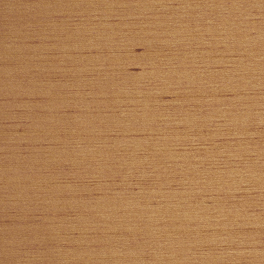 Robert Allen Leonardo | Copper  Multipurpose     - 208459