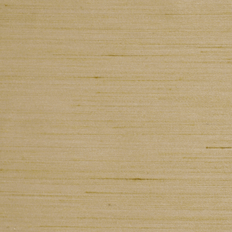 Robert Allen Leonardo | Driftwood  Multipurpose     - 208498