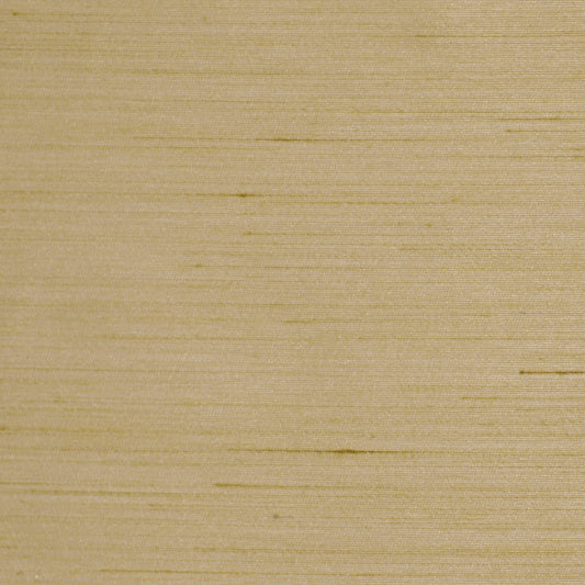 Robert Allen Leonardo | Driftwood  Multipurpose     - 208498