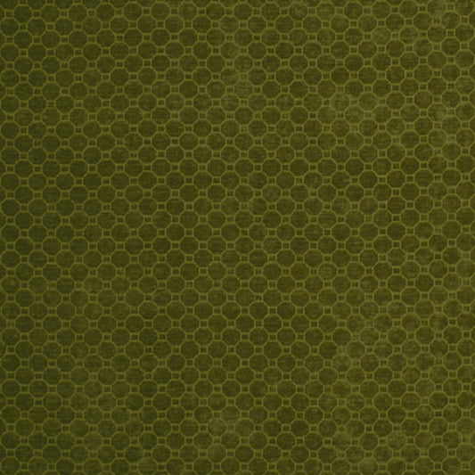 Robert Allen Gaudi | Leek  Upholstery     - 209356