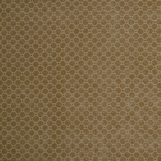 Robert Allen Gaudi | Honey  Upholstery     - 209364