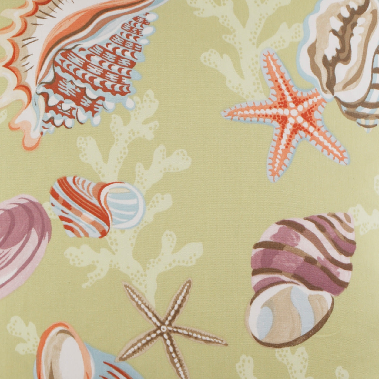 Pastel sea shells & starfish print on pale lime fabric; conch shells, starfish, & coral patterns.