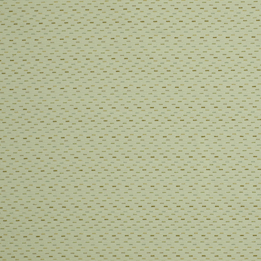 Robert Allen Dashes | Aloe  Upholstery     - 210230