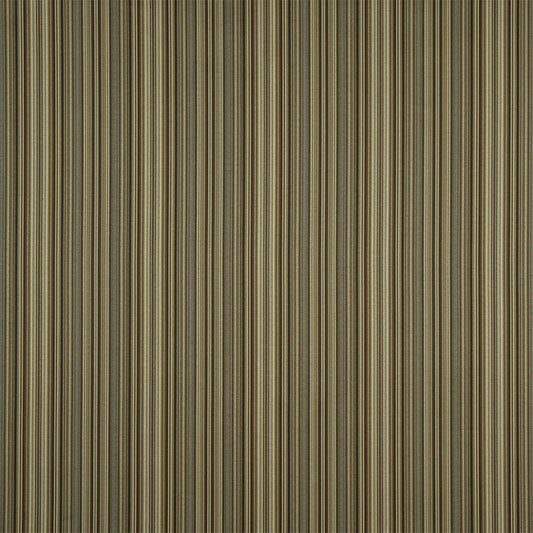 Robert Allen Lawford Stripe | Acorn  Multipurpose     - 210433