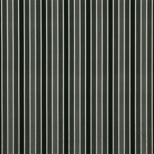 Robert Allen Straight View | Shadow  Multipurpose     - 210484