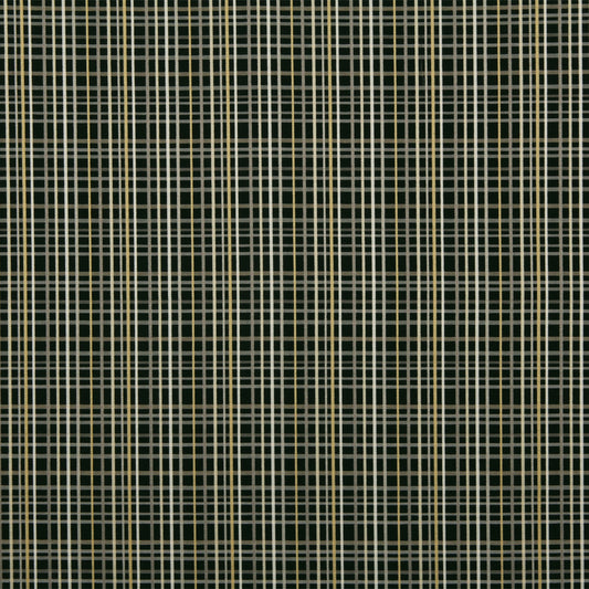 Robert Allen Leganza | Midnight  Multipurpose     - 210658