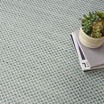 Blue and cream woven rug with a small potted succulent and stack of magazines in a corner.