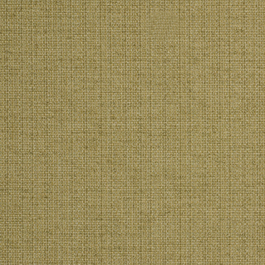 Robert Allen Casparini | Twine  Upholstery     - 213047