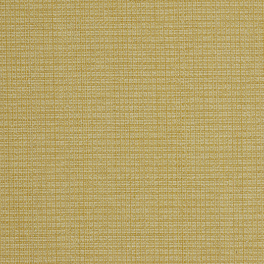 Robert Allen Casparini | Sun  Upholstery     - 213051