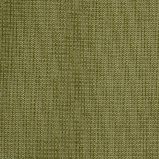 Robert Allen Casparini | Leaf  Upholstery     - 213052
