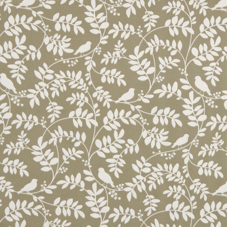 Taupe drapery with beige background and white birds on curling leafy vines; vintage botanical pattern.