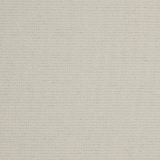 Robert Allen Cotton Loop | Cloud  Multipurpose     - 213526