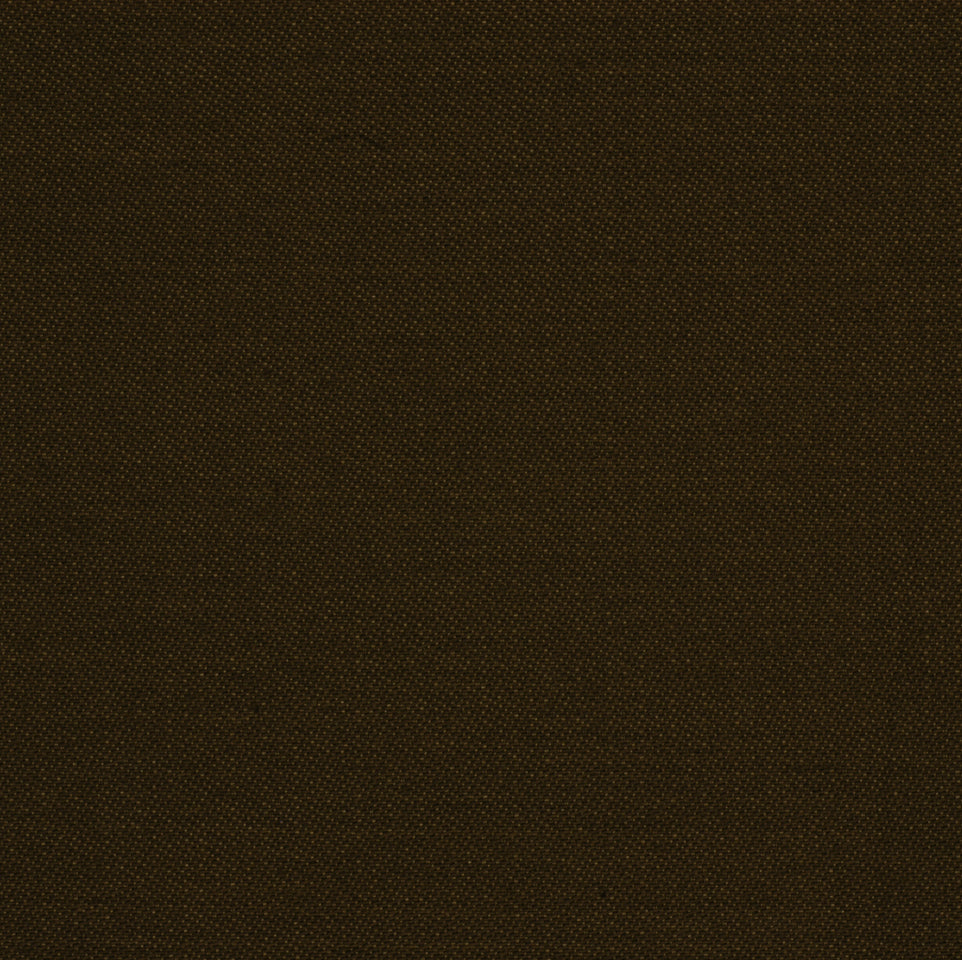 Robert Allen Party Time | Tarragon  Upholstery     - 213552