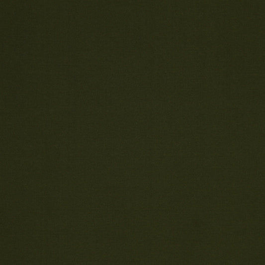 Robert Allen Contract Vinetta | Fern  Multipurpose     - 215494