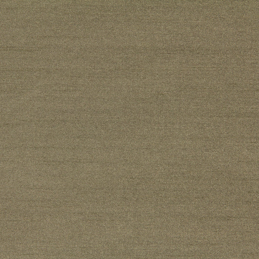 Robert Allen Tramore Ii | Stem  Multipurpose     - 215536