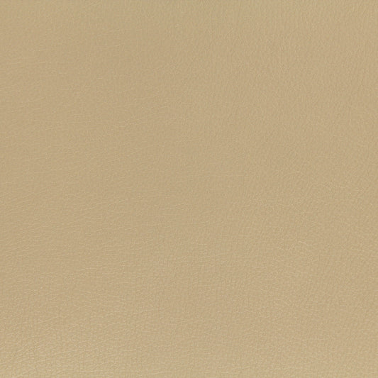 Robert Allen Contract Splash | Buff  Upholstery     - 216689