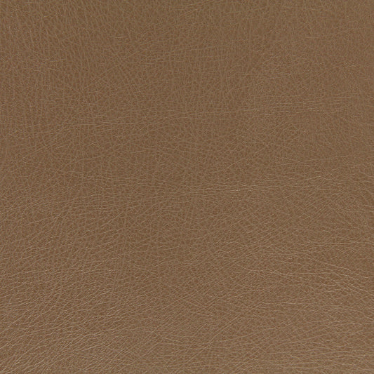 Robert Allen Contract Brutus | Mocha  Upholstery     - 216817