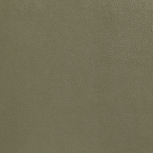 Robert Allen Contract Melvin | Sage  Upholstery     - 216954