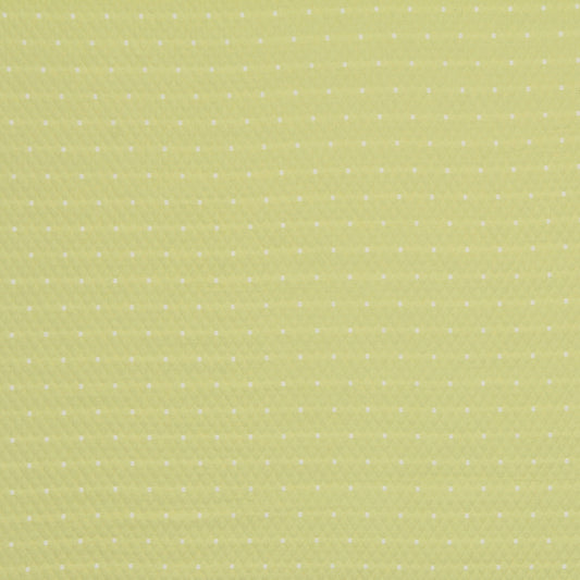 Robert Allen Diamas Dot | Citrus  Multipurpose     - 218034