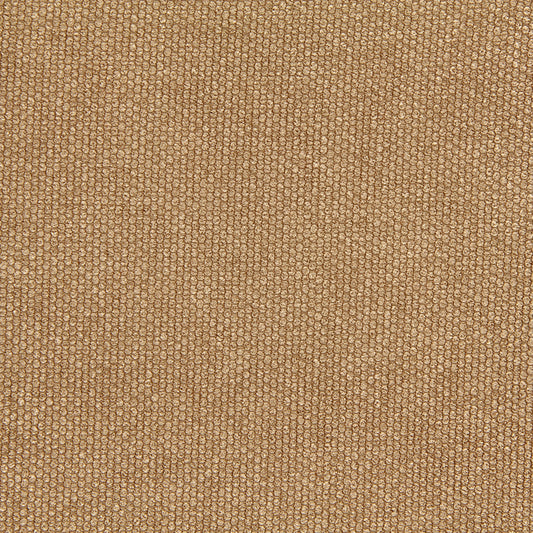 Robert Allen Eye Shadow | Cork  Multipurpose     - 218269