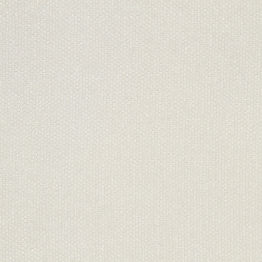 Robert Allen Eye Shadow | Snow  Multipurpose     - 218272