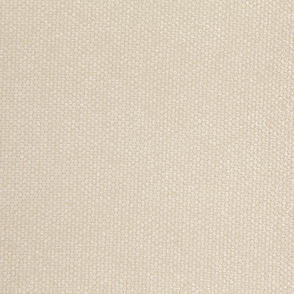 Robert Allen Eye Shadow | Champagne  Multipurpose     - 218274