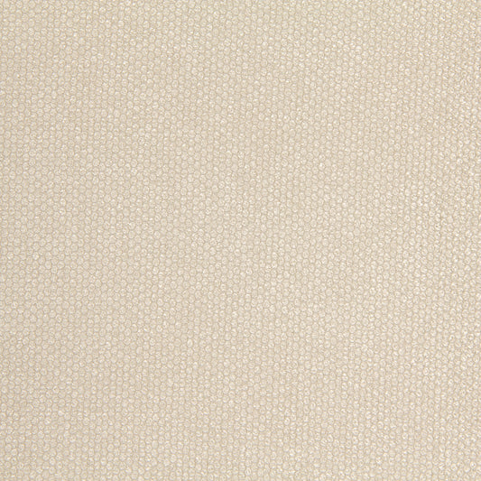 Robert Allen Eye Shadow | Champagne  Multipurpose     - 218274