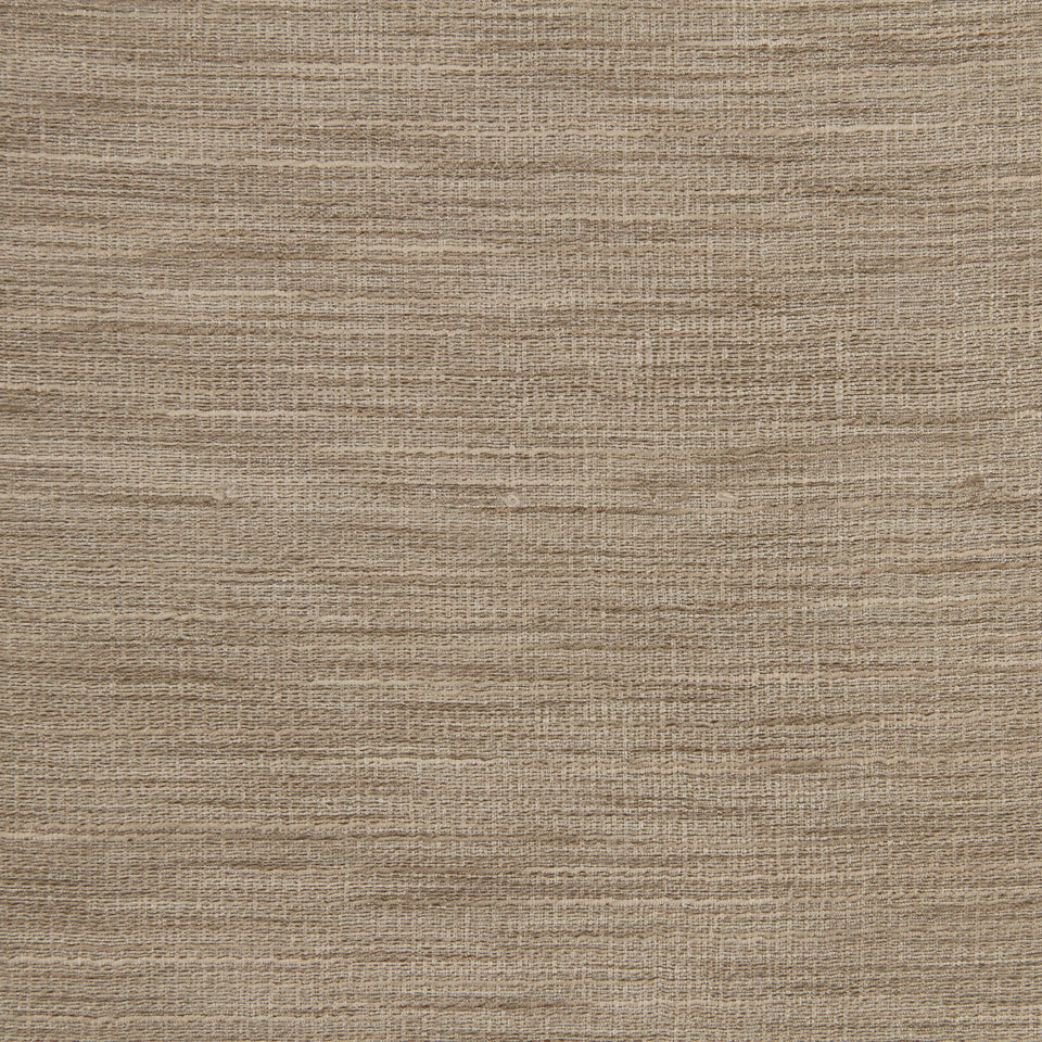 Robert Allen Ballinbogle | Mushroom  Multipurpose     - 218313