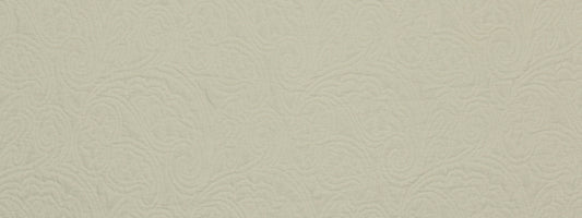 Robert Allen Tracing Nature | Alabaster  Multipurpose     - 219494