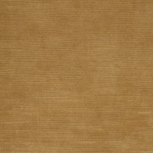 Robert Allen Soft Velvet | Sisal  Upholstery     - 219795