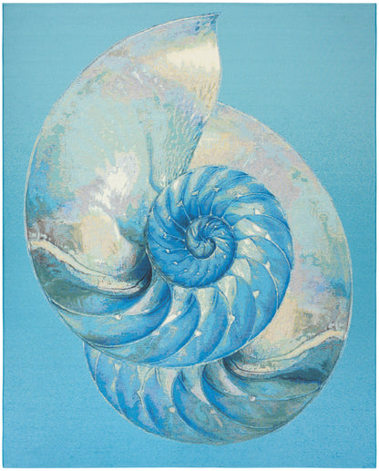 Blue nautilus seashell with iridescent gradient, spiral chambers, on a sky-blue background.