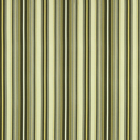 Robert Allen Sunny | Zest  Multipurpose     - 221479