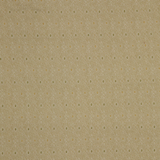 Robert Allen Malholtra | Zest  Upholstery     - 221584