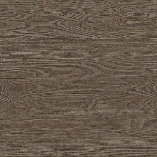 JF Fabrics -Wallpaper 2227 39 Wallpaper Brown  Non-Woven - 6035439 W7931