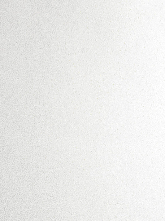 Etten Studios  Mica Texture Abstract Contemporary Metallic Pearl & Champagne   - 2231633