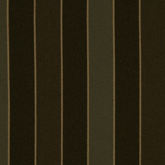 Robert Allen Contract Wide Ribbons | Flint  Upholstery     - 223231
