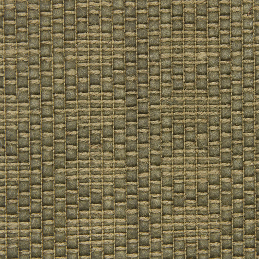 Robert Allen Soft Rush | Palm  Upholstery     - 225418