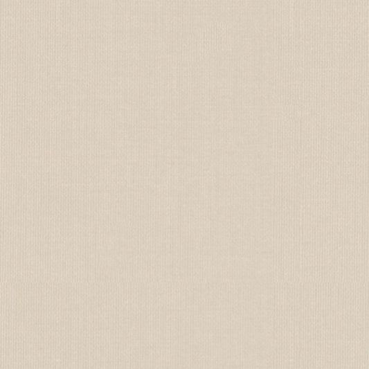 SCHUMACHER  PERFECT BASICS: SILK & TAFFETA SARGENT SILK TAFFETA PLAINS,SILKS & SATIN PLAINS,SILKS & SATIN SNOW   - 22610