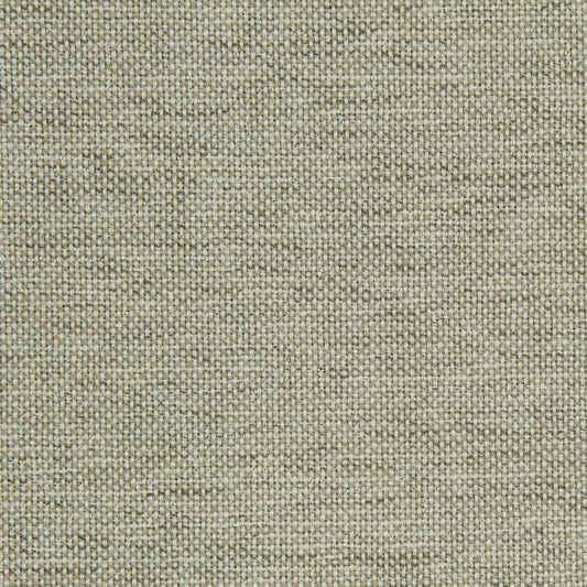 Robert Allen Contract Canvas Sheen | Linen  Upholstery     - 227357