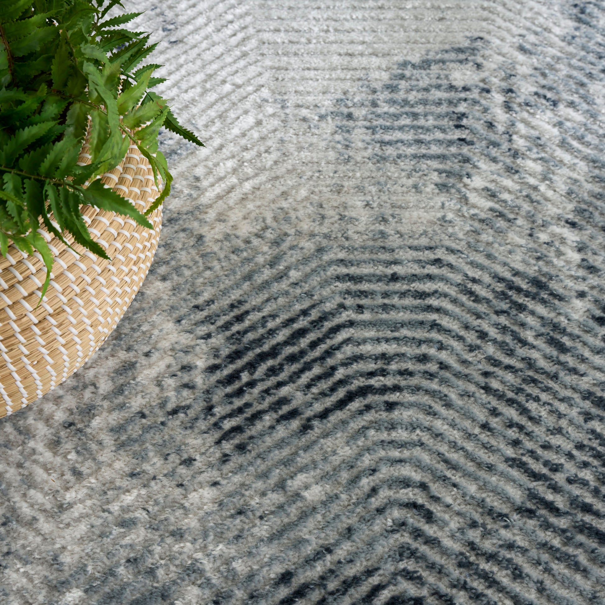 Blue-gray textured rug with ripple stripes; woven straw plant basket with a green fern nearby.