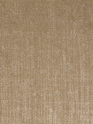 Tan beige-brown woven fabric texture close-up with visible weave pattern, upholstery material.