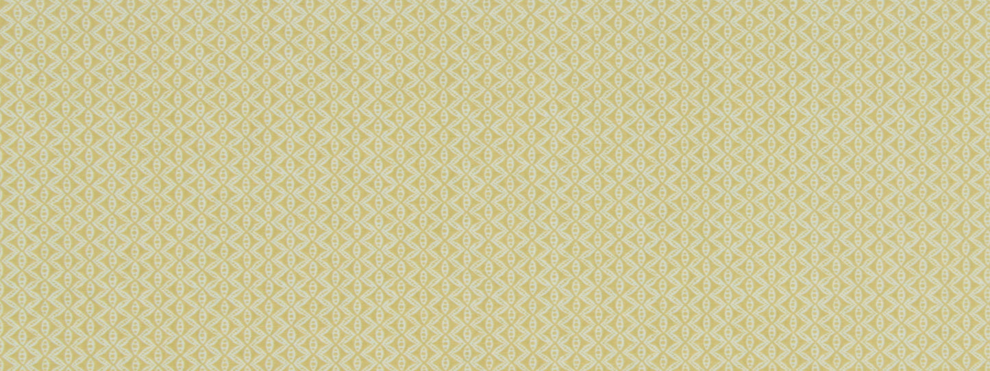 Robert Allen @ Home Hand Motif | Zest  Multipurpose     - 232417