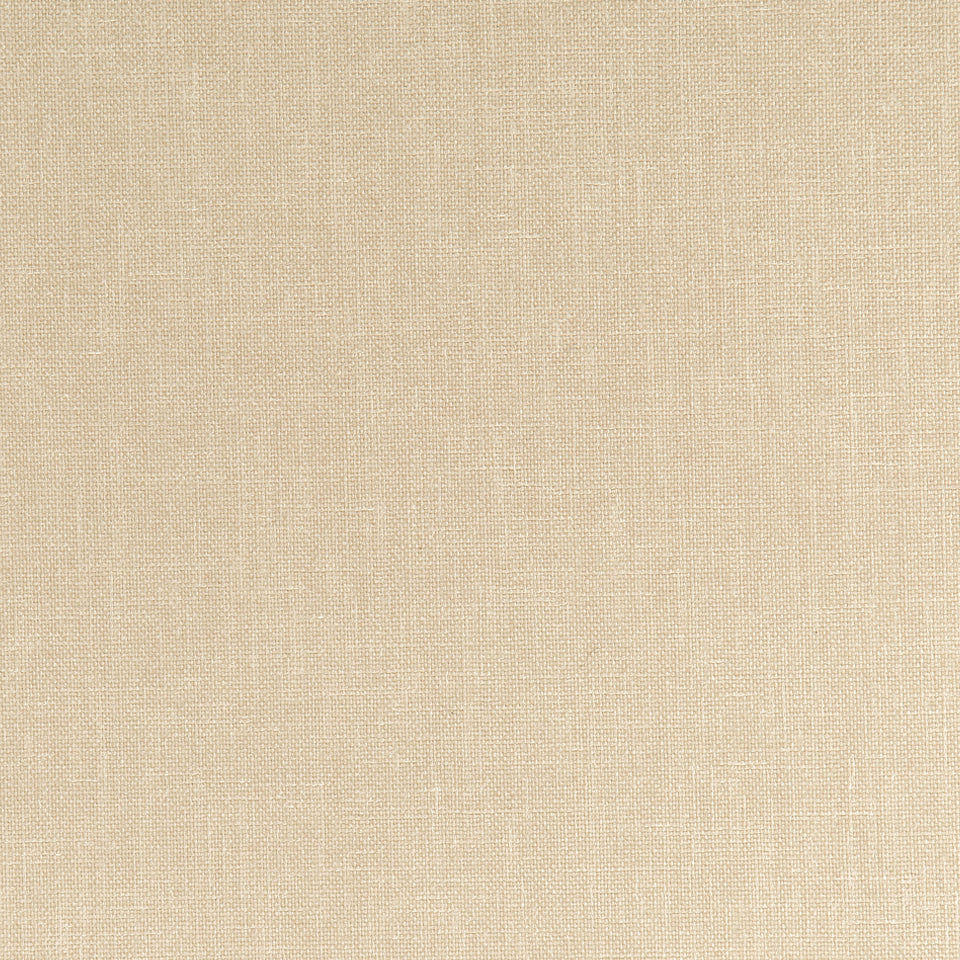 Robert Allen Subtle Mood | Raffia  Multipurpose     - 235848