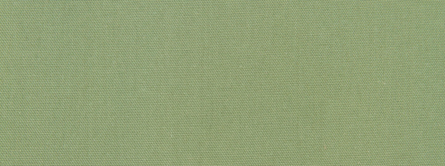 Robert Allen @ Home Stellar Solid | Aloe  Multipurpose     - 235931