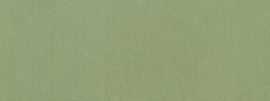 Robert Allen @ Home Stellar Solid | Aloe  Multipurpose     - 235931