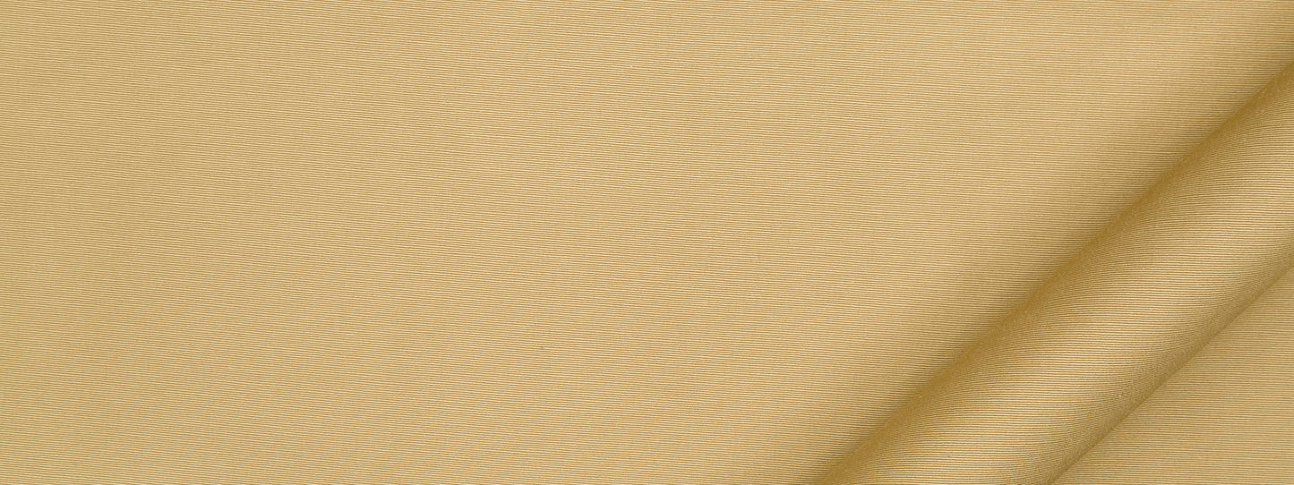 Robert Allen Nyori | Amber  Multipurpose     - 238572