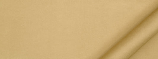 Robert Allen Nyori | Amber  Multipurpose     - 238572